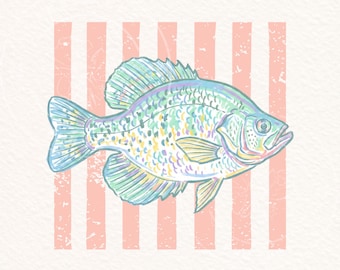 Pastel Crappie Fish PNG, Fishing Sublimation Design, Coastal Fish Graphic, Lake Life Shirt PNG, Vintage Stripe Fishing PNG