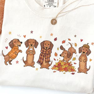 Op de afbeelding: Een crèmekleurig t-shirt met een grafische print van vijf bruine teckels in herfstkleding. De honden zijn afgebeeld met een trui met pompoenpatroon, een koffiebeker, een geruite sjaal, spelend in de bladeren en met een eikelhoedje op hun hoofd.
