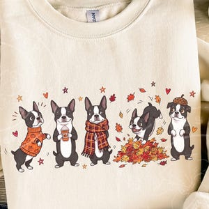 Może przedstawiać: Kremowa bluza z okrągłym dekoltem z nadrukiem graficznym przedstawiającym pięć psów rasy Boston Terrier. Psy są ukazane podczas różnych jesiennych aktywności, w tym w swetrze w dynie, trzymające kubek z kawą, w kraciastym szaliku, bawiące się w stercie jesiennych liści oraz w czapce w kształcie żołędzia.