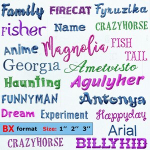 Peut inclure: Plusieurs exemples de broderies de mots de différentes couleurs et polices. Les mots incluent "Family", "Magnolia" et "Crazyhorse". L'image affiche également "format BX" et des options de taille de 2.5 cm, 5 cm et 7.6 cm.