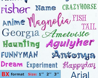 May include: A collection of embroidered text samples in various colors and fonts. Words include "Family," "Magnolia," and "Crazyhorse." The image also displays "BX format" and size options of 1", 2", and 3".