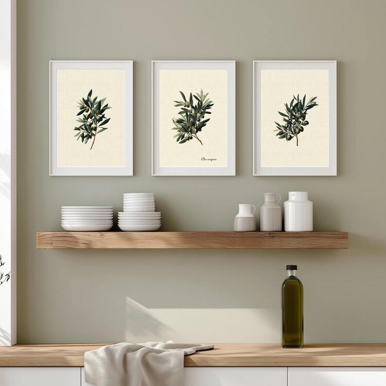 Vintage Botanical Olive Branch Wall Art Set of 3 Prints – Olive Tree ...