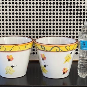 May include: Two white ceramic flower pots with yellow and orange painted rims and butterfly and bee designs. A clear plastic water bottle is next to the pots. The pots are likely for indoor or outdoor use.