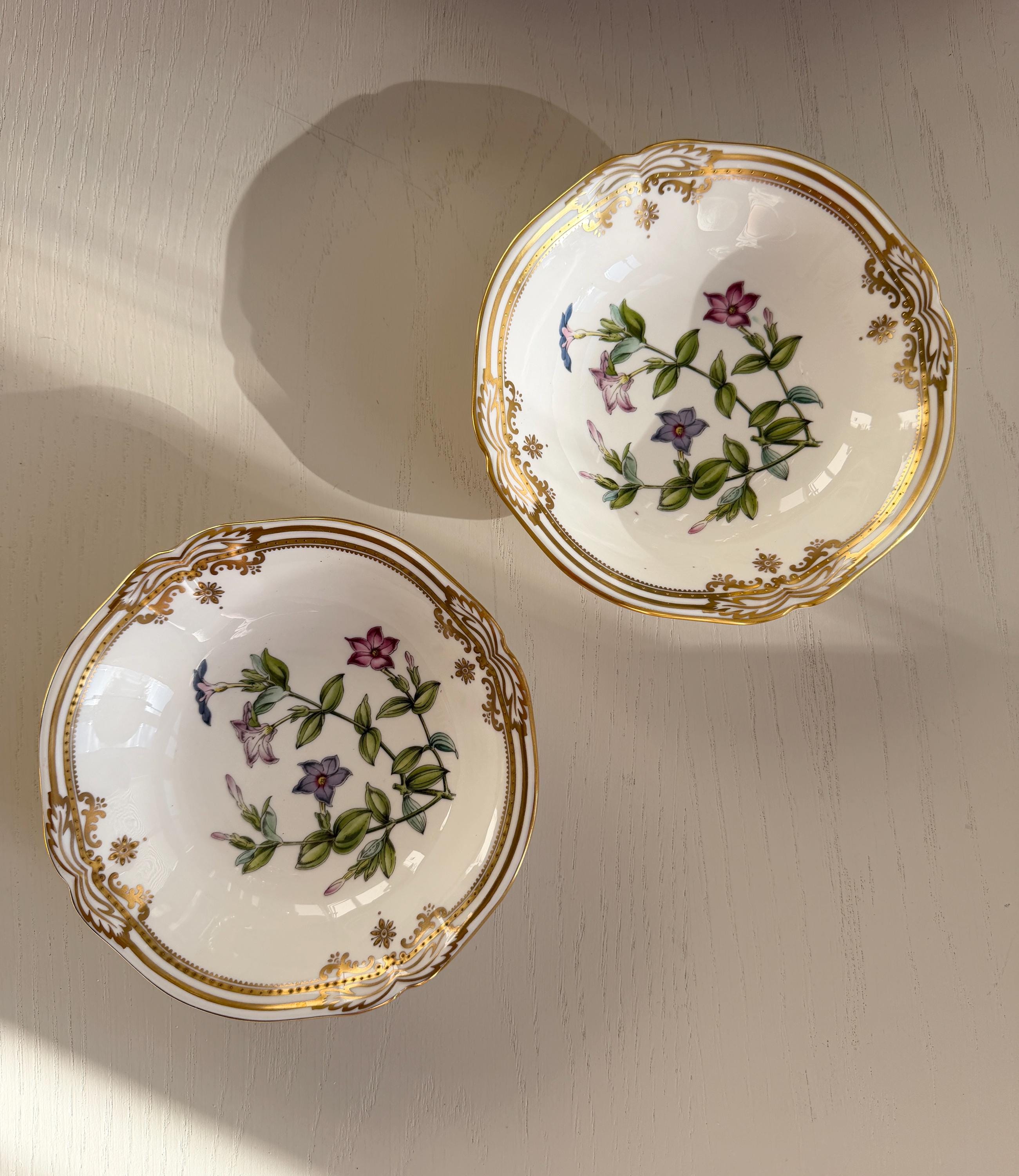 Spode Stafford Flower Bone - Etsy