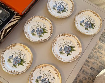 Spode Stafford Flowers Salad & Dessert Plate Set of 6 Gold and