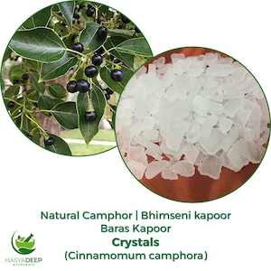 Kampfer Kristalle | Cinnamomum camphora | Reinweiße Kristalle | Natürlich