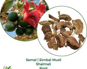 Semal Musli Root/Powder | Bombax malabaricum | Silk Cotton Root | Shalmali