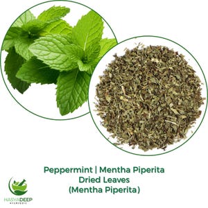 May include: An image showing fresh green peppermint leaves and dried peppermint leaves. The fresh leaves are in a circular frame, and the dried leaves are in a separate circular frame. The text reads "Peppermint | Mentha Piperita Dried Leaves (Mentha Piperita)".