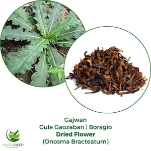 May include: The image presents two circular insets. One shows a green plant with textured leaves. The other displays a pile of dark brown, dried flower petals. Text reads "Gajwan Gule Gaozaban | Boragio Dried Flower (Onosma Bracteatum)".
