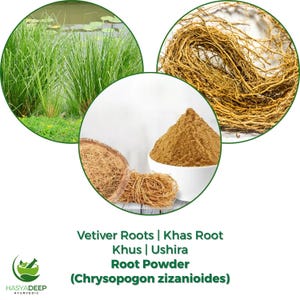 May include: An image showcasing Vetiver roots and root powder. The image is divided into three circular sections. One section displays green grass, another shows a pile of brown roots, and the last features root powder in a white bowl. Text on the image reads "Vetiver Roots | Khas Root".