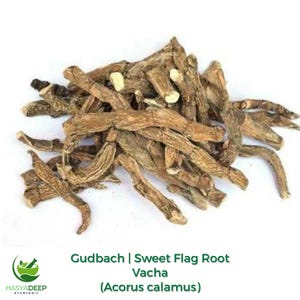 May include: A pile of dried, light brown Gudbach Sweet Flag Root, also known as Vacha (Acorus calamus), is displayed against a white background. The image includes text at the bottom, identifying the product and its Ayurvedic origin.