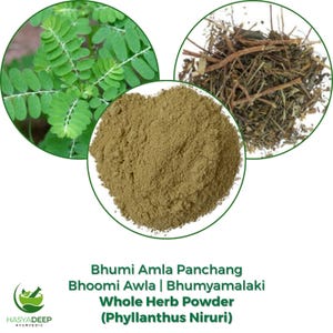 Può includere: Un'immagine che mostra Bhumi Amla Panchang, una polvere di erbe intere. L'immagine presenta tre inserti circolari: foglie verdi fresche, erbe essiccate e un mucchio di polvere fine marrone chiaro. Il testo sull'immagine recita "Bhumi Amla Panchang Bhoomi Awla | Bhumyamalaki Whole Herb Powder (Phyllanthus Niruri)".