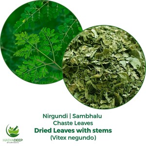 Moringa Leaf / Powder | Pure Moringa oleifera Dried Leaves | Natural