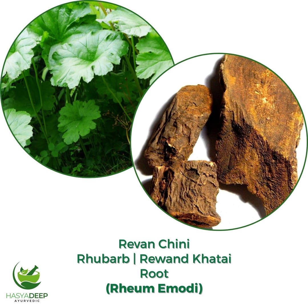 Revan Chini Root Powder | Rheum Emodi | Rewand Khatai | Himalayan ...