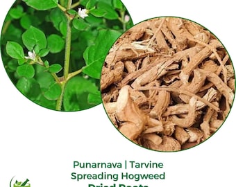 Punarnava Root / Powder | Boerhavia Diffusa | Natural
