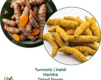 Turmeric Root / Powder – Curcuma longa | Haldi | Natural