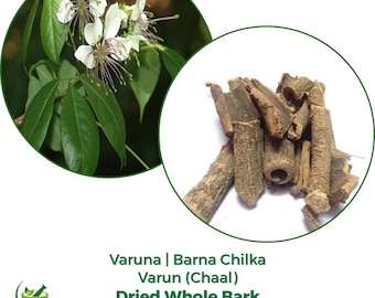 Varuna Rinde-Pulver | Crataeva Nurvala, Natürliches Kraut