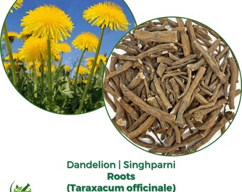 Dandelion Root/Root Powder/Dried Flower | Taraxacum | Natural