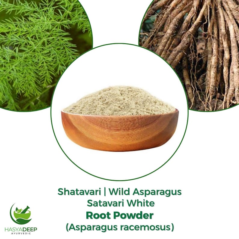 May include: A wooden bowl filled with Shatavari White Root Powder, a light beige powder. The image includes close-ups of wild asparagus and its roots. Text on the image reads "Shatavari | Wild Asparagus, Satavari White Root Powder (Asparagus racemosus)".