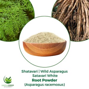 May include: A wooden bowl filled with Shatavari White Root Powder, a light beige powder. The image includes green asparagus fern and the root of the plant. Text reads "Shatavari | Wild Asparagus Satavari White Root Powder (Asparagus racemosus)".
