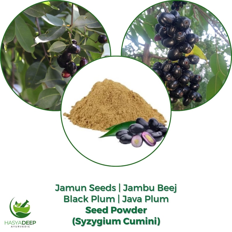 Java Plum Extract Jamun Seed Powder | Syzygium Cumini | Jambu Beej | Jaamun Guthli ...