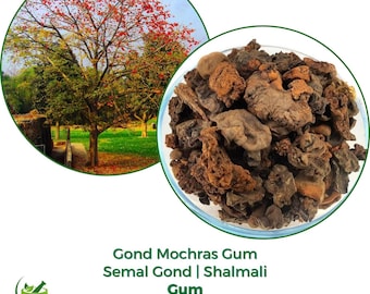 Gond Mochras | Shamalali Gummi | Bombax Ceiba Gum | Baum aus roter Seide und Baumwolle