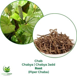 May include: An image showcasing two circular insets. The left inset displays green leaves and a green flower. The right inset shows a pile of brown roots. Text at the bottom reads "Chab Chaby | Chaby Jadd Root (Piper Chaba)".