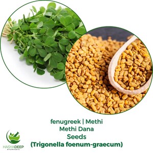 Pode incluir: A imagem apresenta duas inserções circulares. Uma contém um feixe de folhas frescas e verdes de feno-grego. A outra mostra uma pilha de sementes de feno-grego castanho-douradas, com uma colher de pau. O texto na parte inferior diz "fenugreek | Methi Methi Dana Seeds (Trigonella foenum-graecum)".