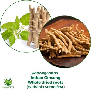 K&ouml;nnte beinhalten: Bild von Ashwagandha Indian Ginseng, ganzen getrockneten Wurzeln. Das Bild zeigt ein B&uuml;ndel getrockneter Wurzeln, die mit Bindfaden zusammengebunden sind, frische gr&uuml;ne Bl&auml;tter und einen Haufen getrockneter Wurzeln auf einer Holzoberfl&auml;che. Der Text im Bild lautet "Ashwagandha Indian Ginseng Whole dried roots (Withania Somnifera)".