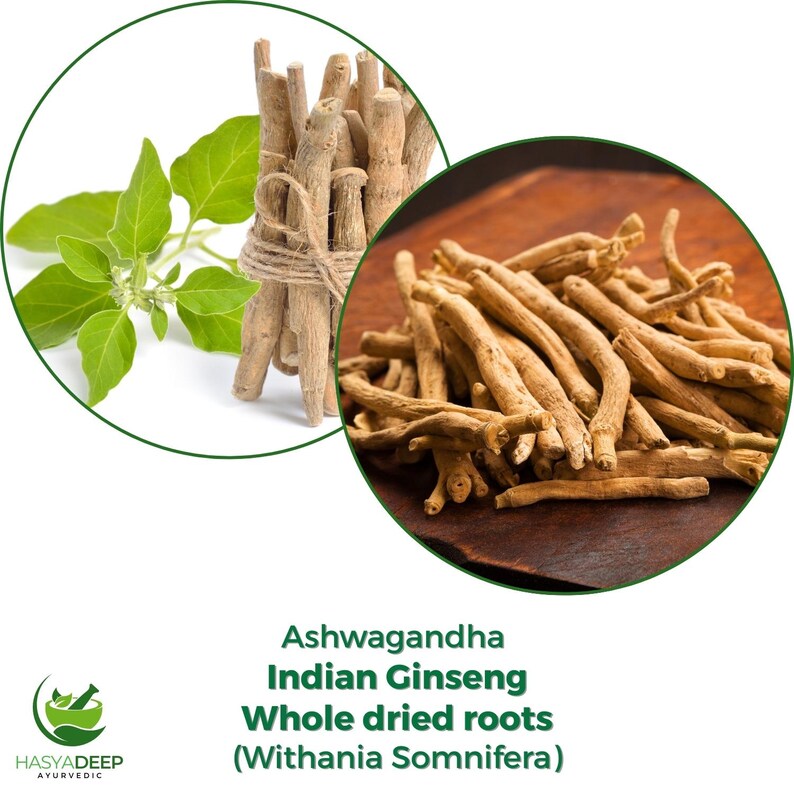 K&ouml;nnte beinhalten: Bild von Ashwagandha Indian Ginseng, ganzen getrockneten Wurzeln. Das Bild zeigt ein B&uuml;ndel getrockneter Wurzeln, die mit Bindfaden zusammengebunden sind, frische gr&uuml;ne Bl&auml;tter und einen Haufen getrockneter Wurzeln auf einer Holzoberfl&auml;che. Der Text im Bild lautet "Ashwagandha Indian Ginseng Whole dried roots (Withania Somnifera)".