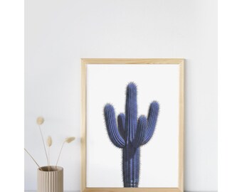 Cactus Blue 5. 18 x 24. Digital Print