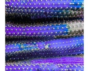 Blu Cactus 3 - 18 x 24 print Digital