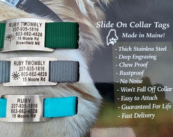 Thick Stainless Steel Curved Slide On Collar Tag/ Small /Fits 5/8" Wide Collars