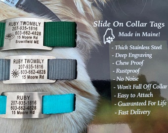 Thick Stainless Steel Curved Slide On Collar Tag/ Medium /Fits 3/4" Wide Collars