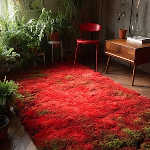 May include: A striking red and green rug on a wooden floor. The rug has a dense, textured pile, with a blend of red and green shades. A red chair and a wooden side table with a lamp and a book are in the background. Potted plants are visible.