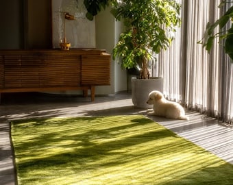 May include: A vibrant green rectangular rug with a textured surface, placed on a gray tiled floor. The rug is illuminated by sunlight streaming through a window, creating a play of light and shadow. A small white dog rests near the rug.