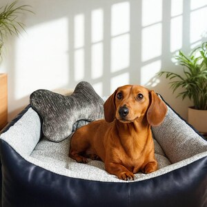 May include: A brown dachshund dog rests in a dog bed with a bone-shaped pillow. The bed has a navy blue leather exterior and a gray and white patterned interior. The dog has brown fur and floppy ears.