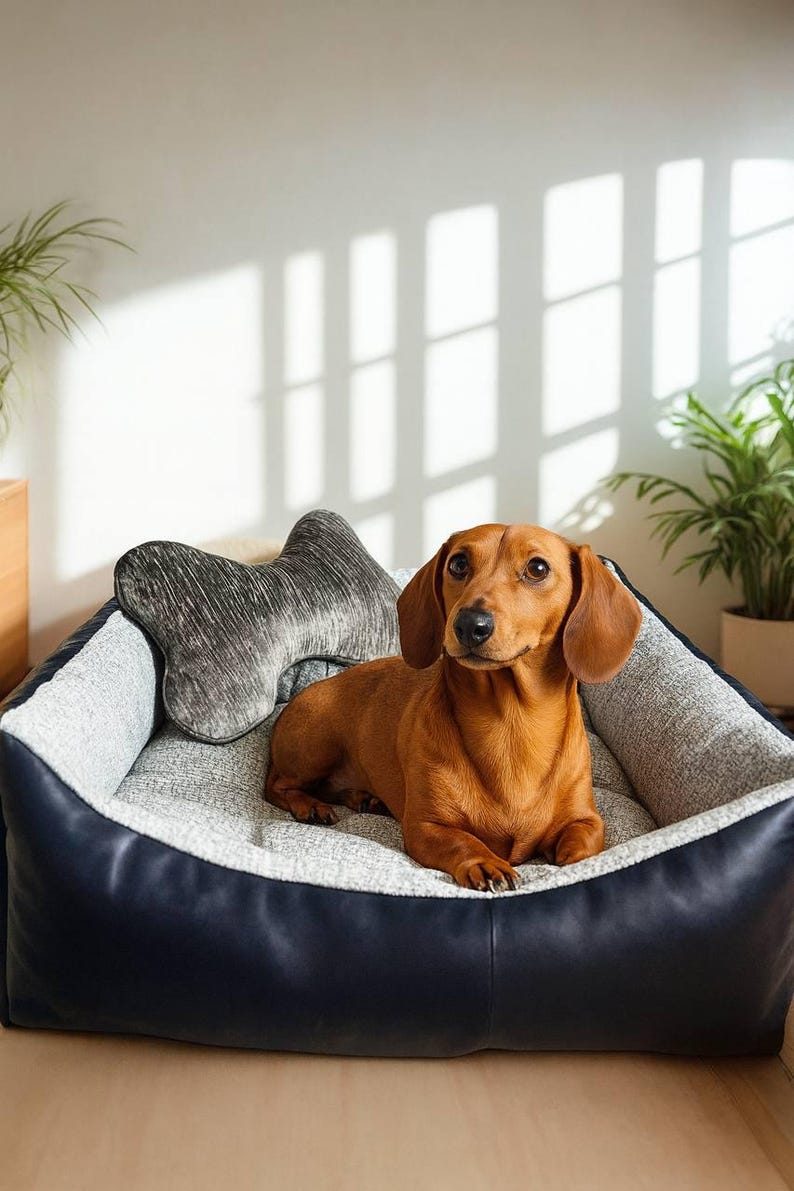 May include: A brown dachshund dog rests in a dog bed with a bone-shaped pillow. The bed has a navy blue leather exterior and a gray and white patterned interior. The dog has brown fur and floppy ears.