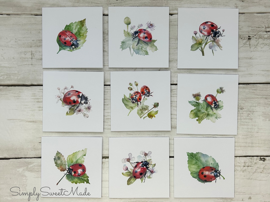 Ladybug Mini Note Cards: Watercolor Blank Cards, 3x3 (set of 18) - Etsy