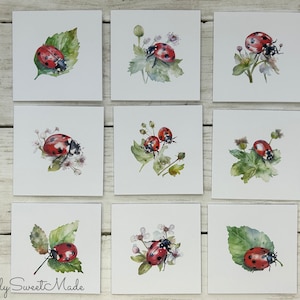 May include: Nine watercolor paintings of ladybugs on leaves and flowers. Each painting features a ladybug with red wings and black spots, surrounded by green leaves and white flowers.