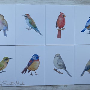 Bird Watercolor Cards Set - 8 Watercolor Birds Notecards - Watercolor Birds Blank Cards - Assorted Birds Greeting Cards - Blank Card