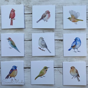 May include: Nine watercolor paintings of different birds on white card stock. The birds are painted in various colors, including red, blue, green, and brown. The paintings are all approximately 3 inches by 3 inches.