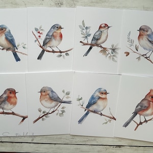 Bird Watercolor Cards Set - 8 Watercolor Birds Notecards - Watercolor Birds Blank Cards - Assorted Birds Greeting Cards - Blank Card