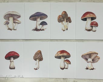 May include: Eight cards with watercolor illustrations of various mushrooms. The mushrooms feature a range of colors, including brown, red, and white. Each card showcases a different mushroom variety, with detailed depictions of their caps and stems.