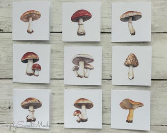 Watercolor Mushroom Mini Cards - Set of 18 Blank Notecards