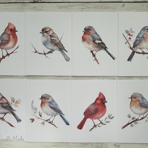 Bird Watercolor Cards Set - 8 Watercolor Birds Notecards - Watercolor Birds Blank Cards - Assorted Birds Greeting Cards - Blank Card