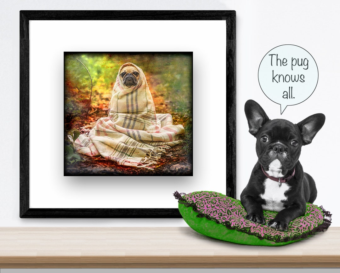 Pug Dog Wall Artinstant Digital Downloadprintable Etsy