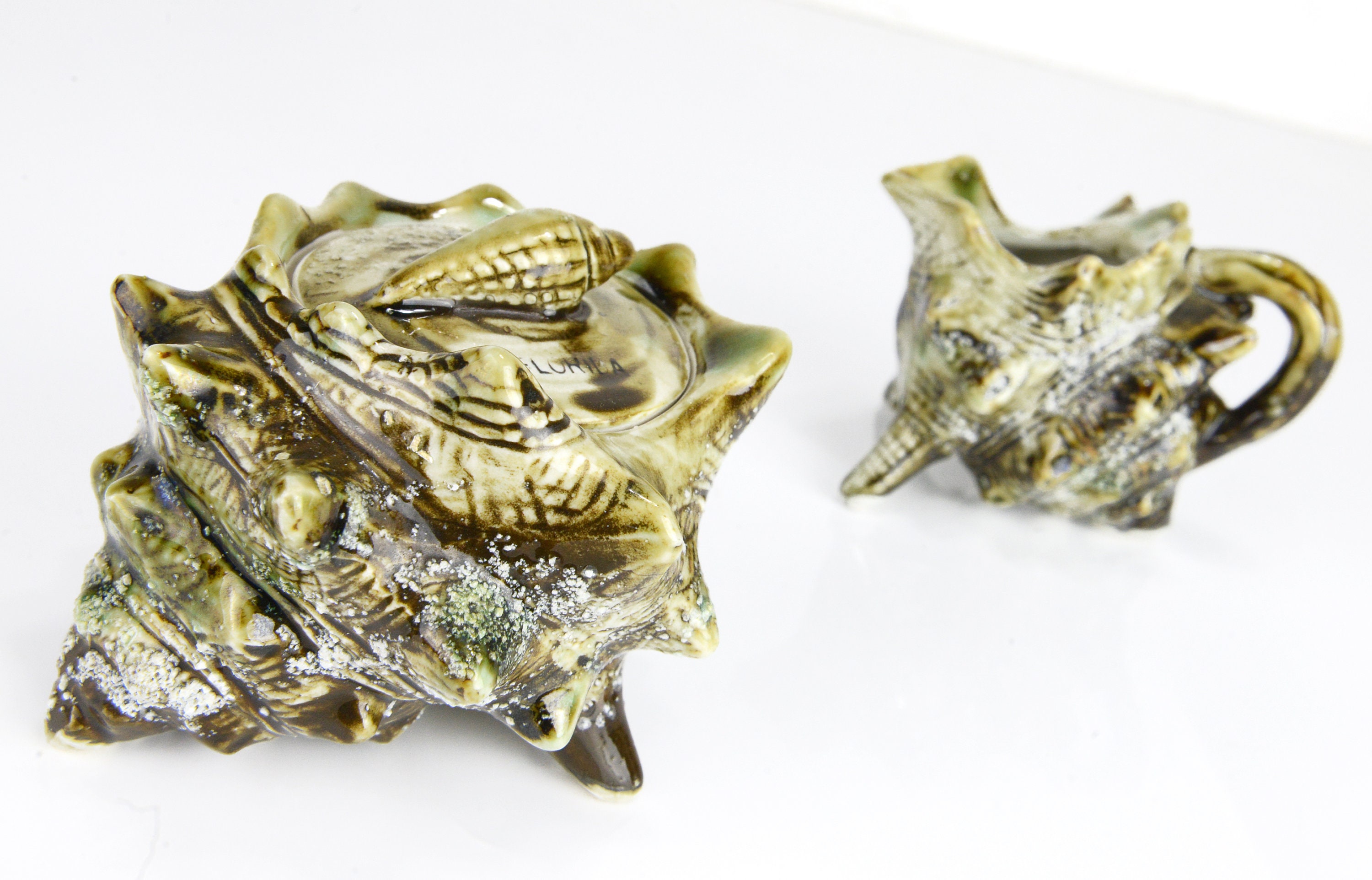 Cream Conch Shell Vintage Conch Shell Cream and Sugar Set, Mid Century Souvenir - Etsy