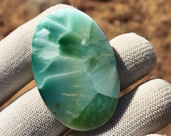May include: An oval gemstone, predominantly green with lighter and darker shades. The polished surface displays natural patterns and inclusions. The stone is held in a white glove, with a blurred outdoor backdrop.