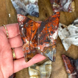 May include: A polished, butterfly-shaped stone with a vibrant mix of red, orange, brown, and white patterns. The stone has a smooth, glossy finish and is held in a hand. Other similar stones are visible in the background.